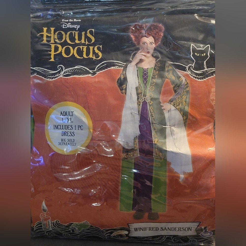Hocus Pocus costume SOLD
